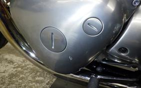 KAWASAKI W800 2022 EJ800E
