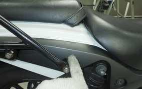 KAWASAKI ELIMINATOR400-3 2023 EL400A