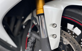 YAMAHA YZF-R1 2010 RN20