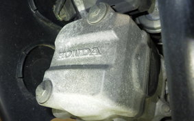 HONDA LITTLE CUB E AA01