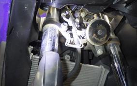 YAMAHA YZF-R25 2021 RG10J
