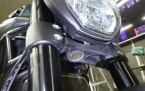 DUCATI MONSTER 1100 EVO 2013
