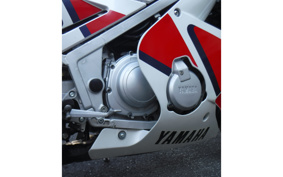 YAMAHA FZR250 2KR