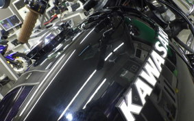 KAWASAKI Z1000 2025 Z1F