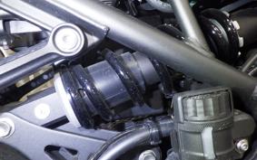 KAWASAKI Z900RS CAFE 2023 ZR900K