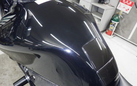 HONDA HORNET 250 2006 MC31