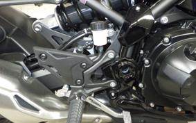 KAWASAKI Z900 2025 ZR900S