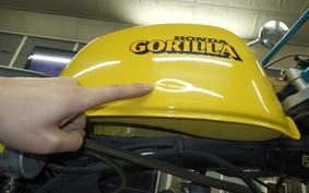 HONDA GORILLA 2020 Z50J