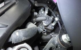 HONDA TACT Basket AF79