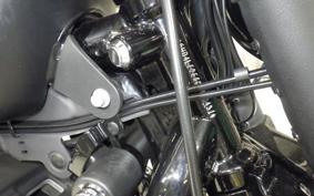 HARLEY XL883N 2015