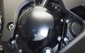 KAWASAKI NINJA 1000SX 2024 ZXT02K