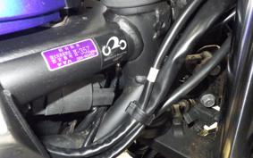 YAMAHA YZF-R25 2024 RG43J