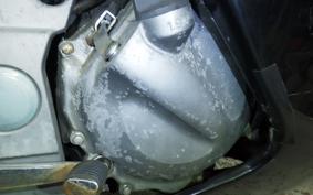 KAWASAKI ZZ-R250 EX250H