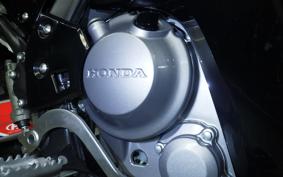 HONDA CRF250 RALLY MD44
