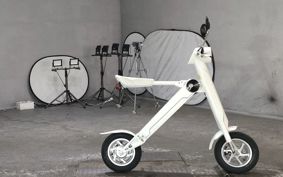 OTHER  BLAZE  SMART EV ..