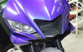 YAMAHA YZF-R25 2015 RG43J