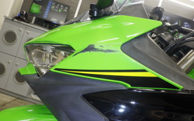 KAWASAKI NINJA 250 2 2019 EX250P