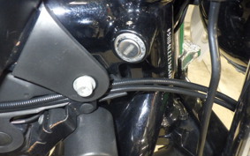 HARLEY XL883N 2009