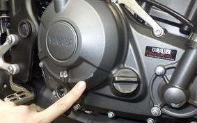 YAMAHA MT-25 A 2006 RG95J