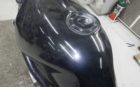 SUZUKI BANDIT 250 2025 GJ74A