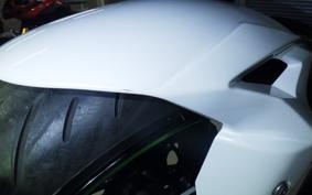KAWASAKI NINJA ZX-6R A 2021 ZX636G