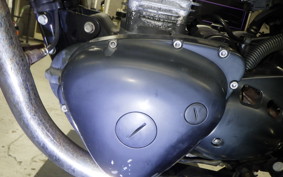 KAWASAKI W800 CAFE 2020 EJ800B