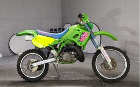 KAWASAKI KDX250R DX250D