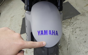 YAMAHA YZF-R25 A 2022 RG43J