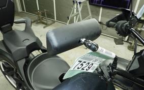 OTHER CAN-AMﾗｲｶｰ900 2020