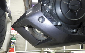 YAMAHA MT-25 RG10J