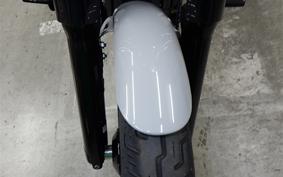HARLEY FXBBS1870 2025