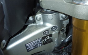 YAMAHA MT-09 2014 RN34J