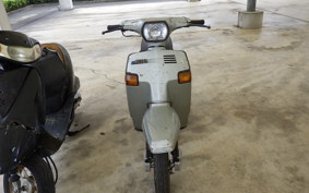 YAMAHA BELUGA 50 5G6