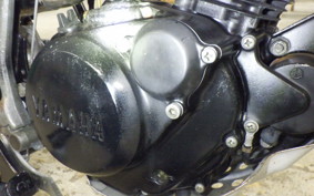 YAMAHA TW200 2021 2JL